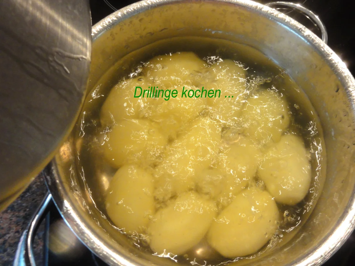 Fleisch:   FRIKADELLEN - Rezept - Bild Nr. 4056