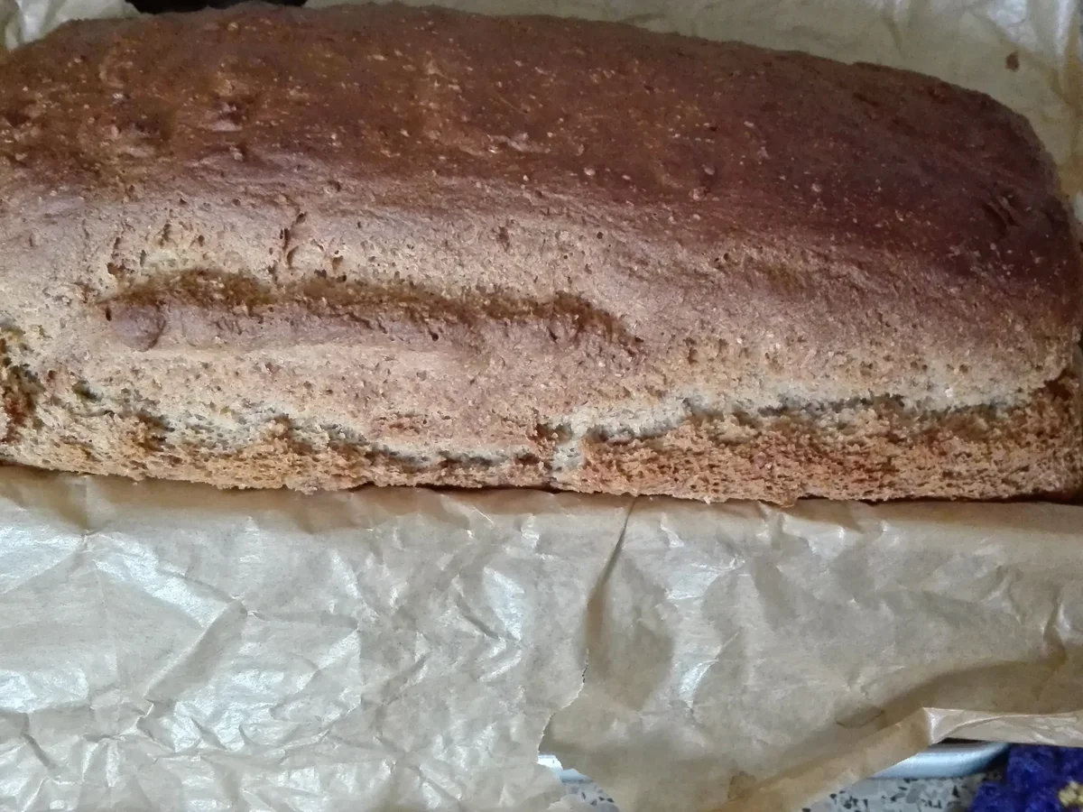 Einfaches Dinkelbrot - Rezept - Bild Nr. 4072