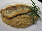Reis: Venezianisches Zitronenrisotto mit Zanderschnitten - Rezept - Bild Nr. 4142