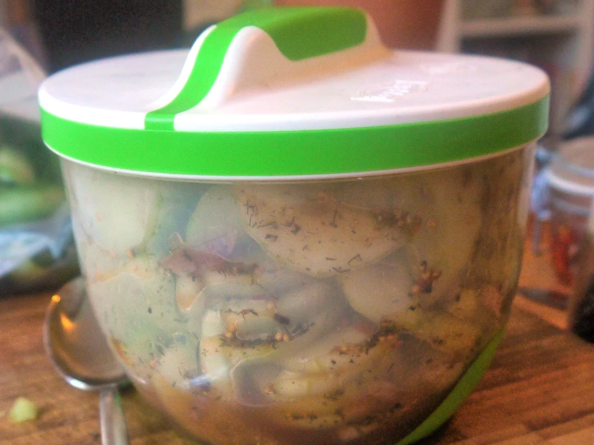 Rezept: Scharfe Schüttelgurken Bild Nr. 6 Scharfe Schüttelgurken - Rezept - Bild Nr. 6