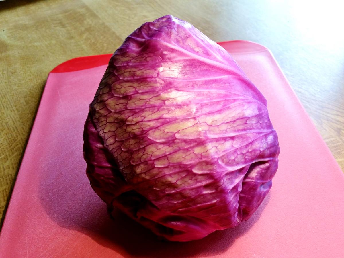 Roter Spitzkohl-Salat aus meiner Versuchsküche ... - Rezept - Bild Nr. 4189