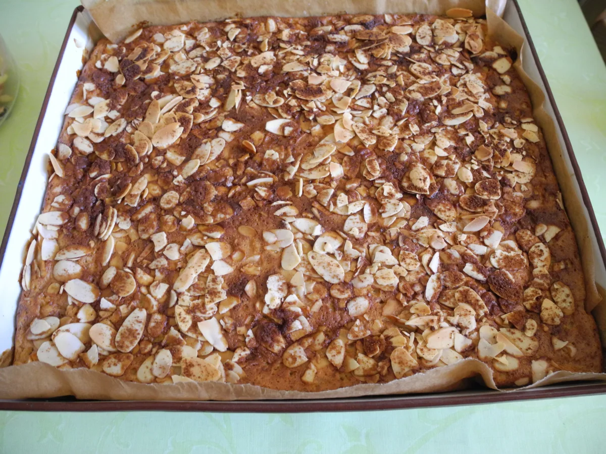 Apfel - Joghurt - Puddingkuchen - Rezept - Bild Nr. 4227