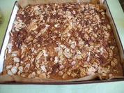 Rezept: Apfel - Joghurt - Puddingkuchen Bild Nr. 4227 Apfel - Joghurt - Puddingkuchen - Rezept - Bild Nr. 4227