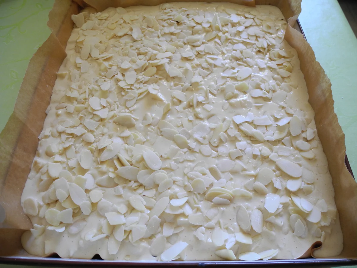 Apfel - Joghurt - Puddingkuchen - Rezept - Bild Nr. 4230