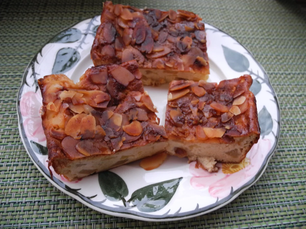 Apfel - Joghurt - Puddingkuchen - Rezept - Bild Nr. 4233