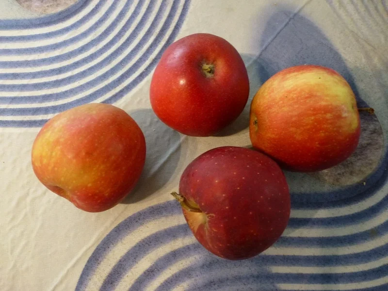 Gedeckter Apfelkuchen Nach meiner Art - Rezept - Bild Nr. 4235