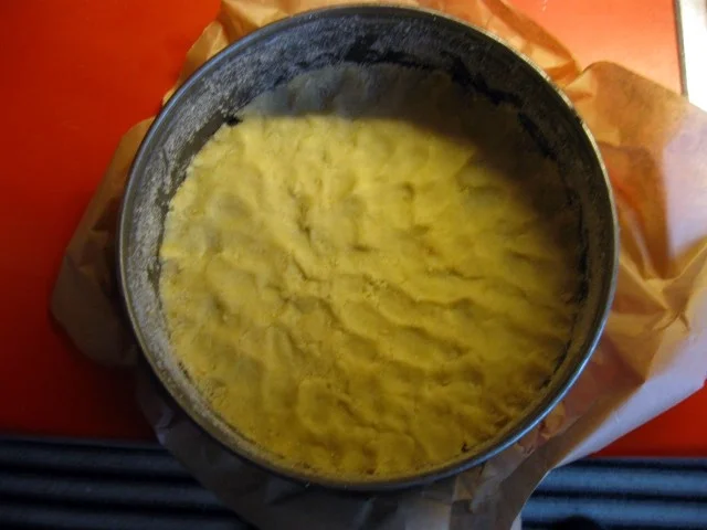 Mohnkuchen mit Mandarinen - Rezept - Bild Nr. 4243