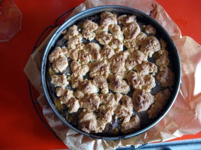 Mohnkuchen mit Mandarinen - Rezept - Bild Nr. 4246