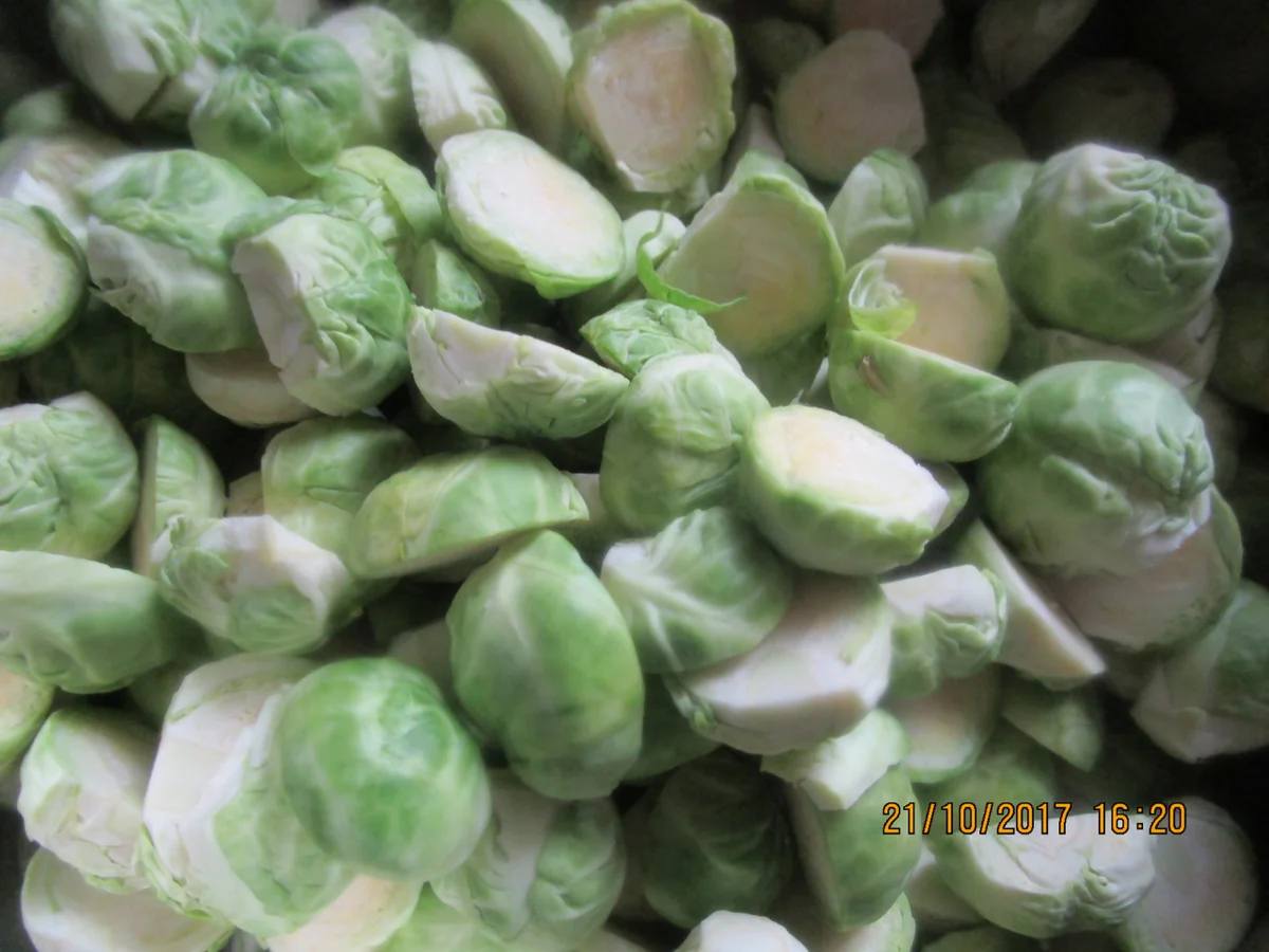 Rosenkohl-Kartoffel-Hackfleisch-Auflauf - Rezept - Bild Nr. 4267