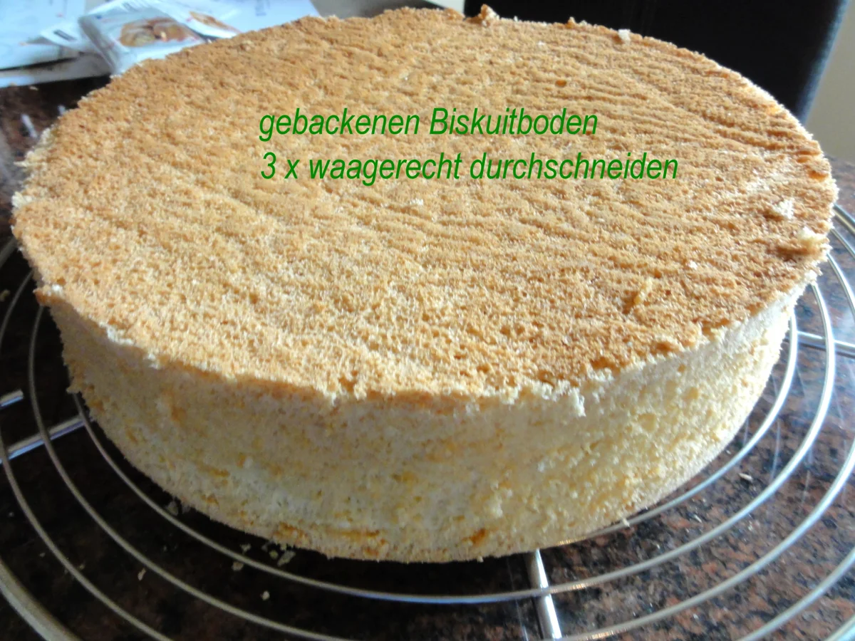 Biskuit:   MOKKA ~ BUTTERCREM ~ TORTE - Rezept - Bild Nr. 4312