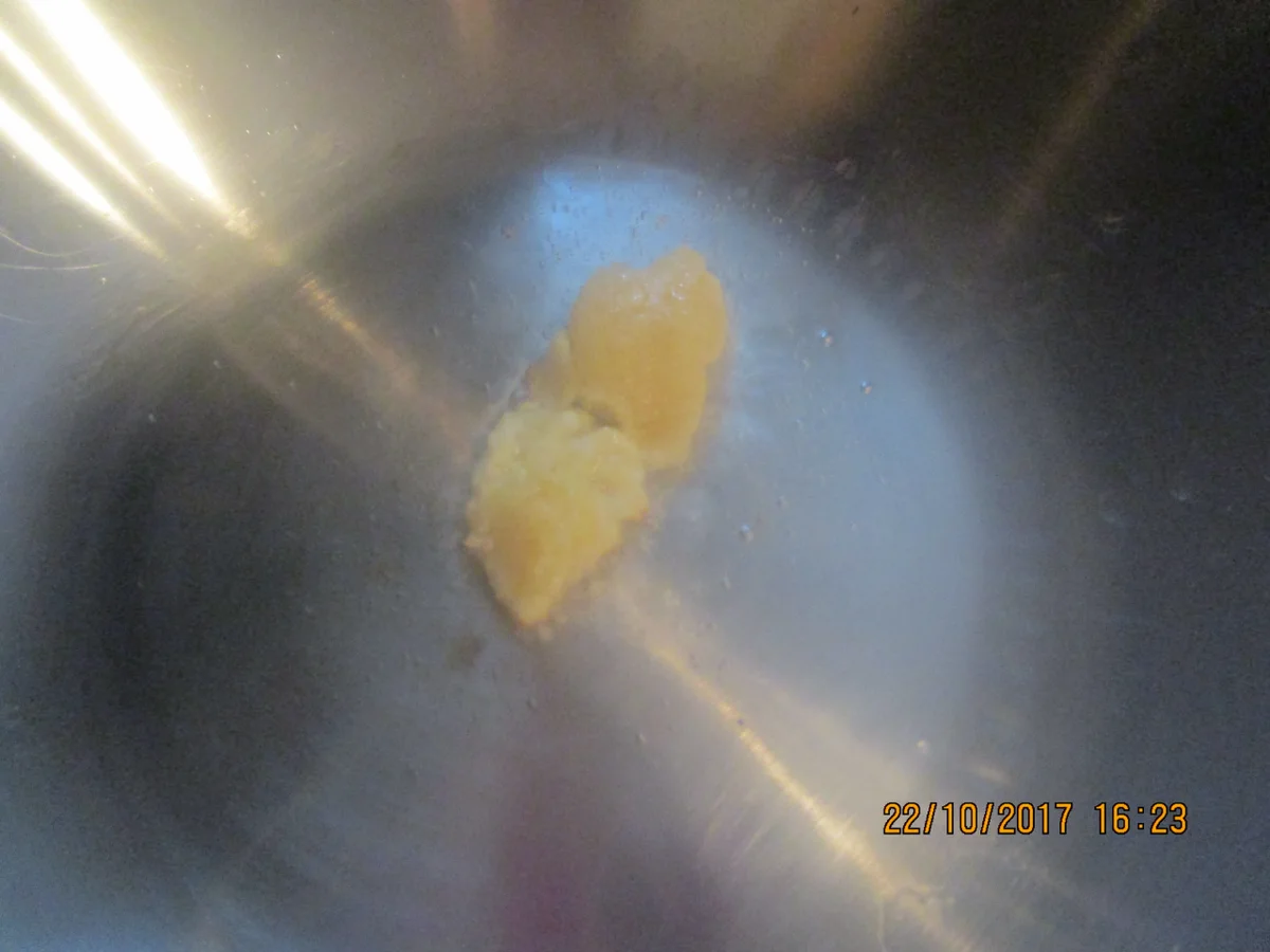 WOK: Garnelen auf kantonesische Art - Rezept - Bild Nr. 4323