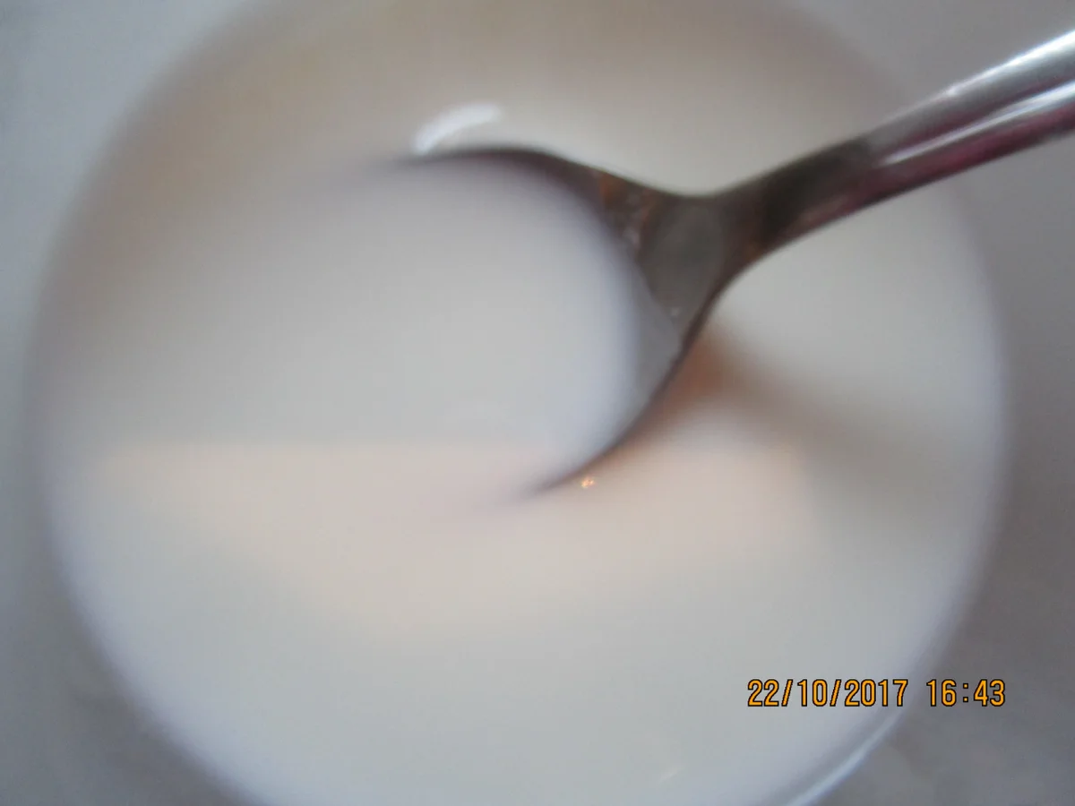 WOK: Garnelen auf kantonesische Art - Rezept - Bild Nr. 4330