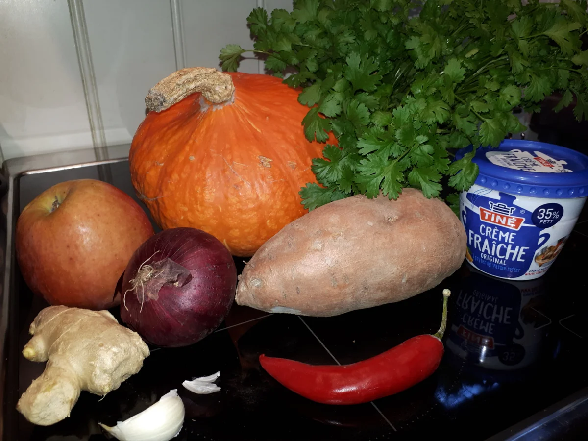 BiNe` S  KÜRBIS - SÜSSKARTOFFELSUPPE - Rezept - Bild Nr. 3