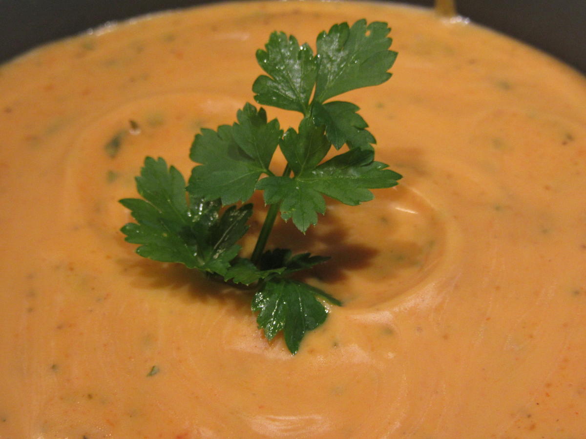 Soßen: Veganer Paprika-Tomaten-Dip - Rezept - Bild Nr. 4324