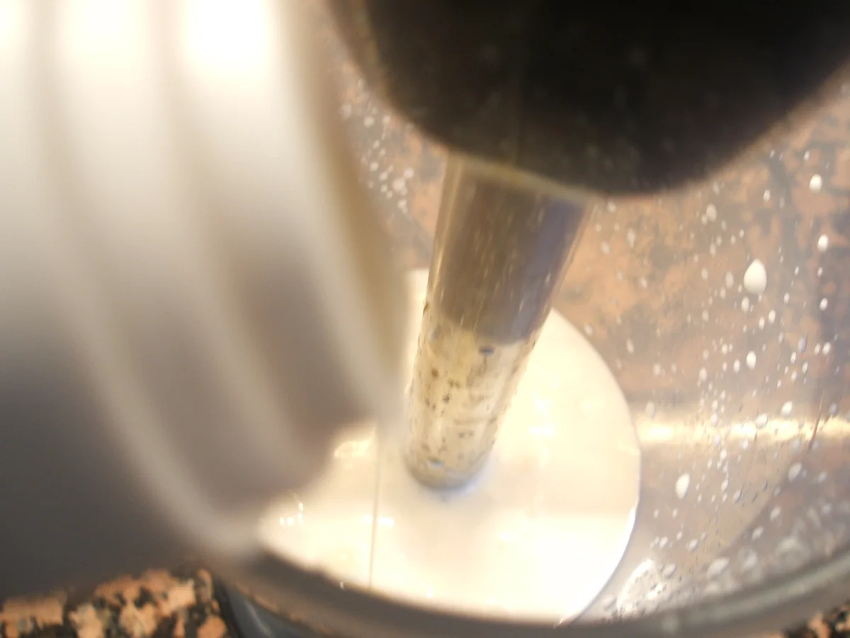 Soßen: Veganer Paprika-Tomaten-Dip - Rezept - Bild Nr. 4325