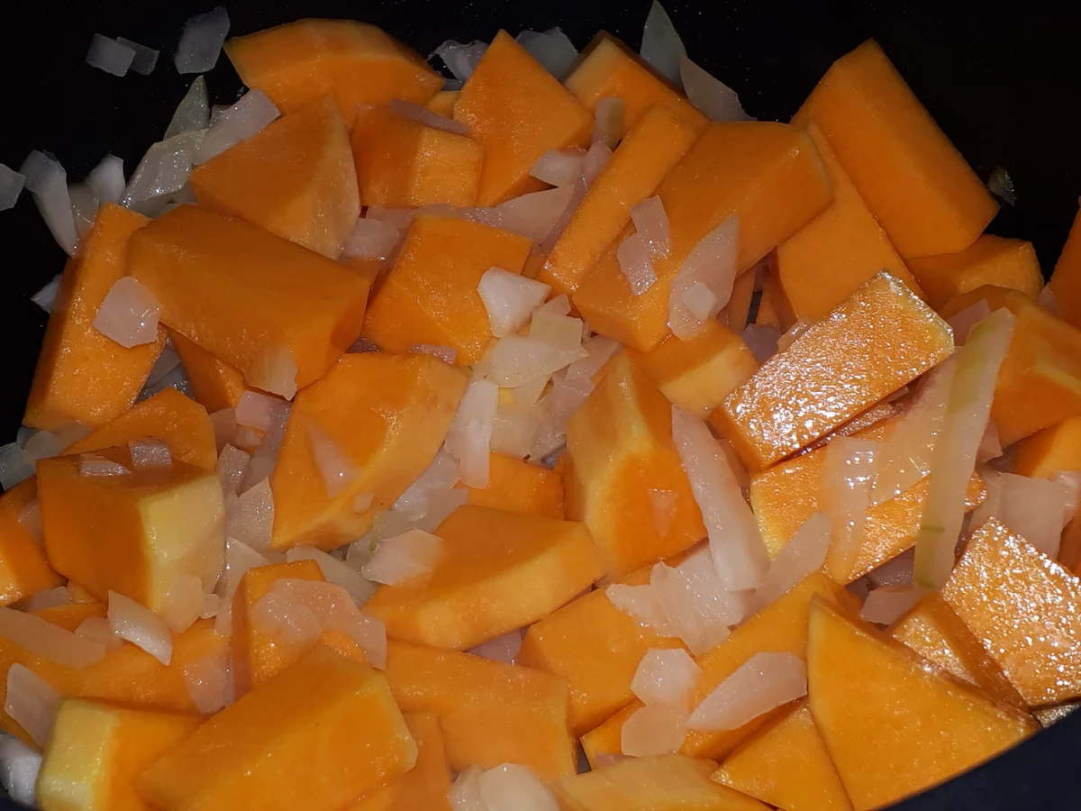 BiNe` S GRÜNKOHL - KÜRBISAUFLAUF - Rezept - Bild Nr. 4341