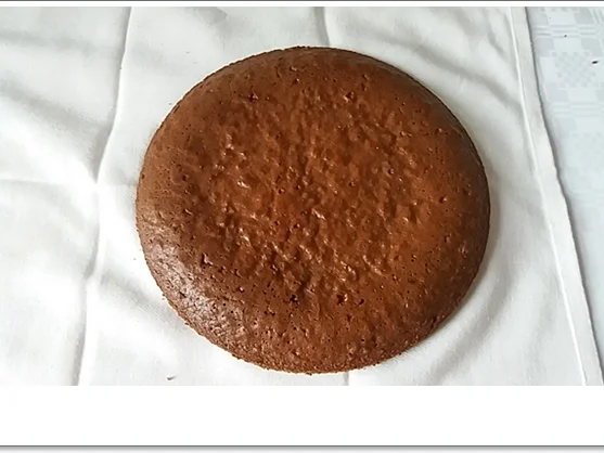 Obsttorte mit Quark-Puddingcreme-Füllung - Rezept - Bild Nr. 4351