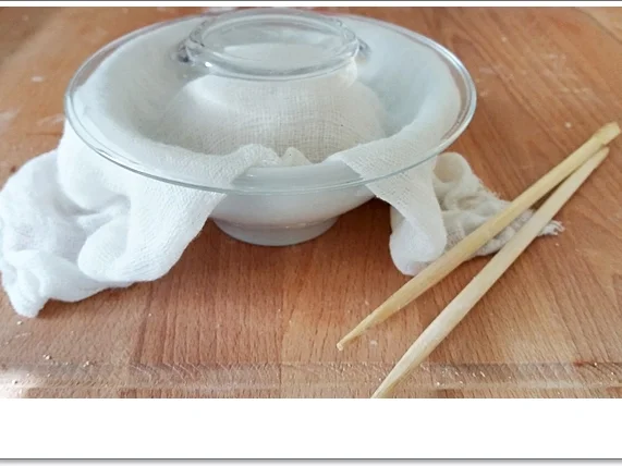 Dim Sum - eine Spezialität aus der kantonesischen Küche Chinas - Rezept - Bild Nr. 4349