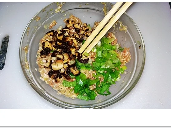 Dim Sum - eine Spezialität aus der kantonesischen Küche Chinas - Rezept - Bild Nr. 4350