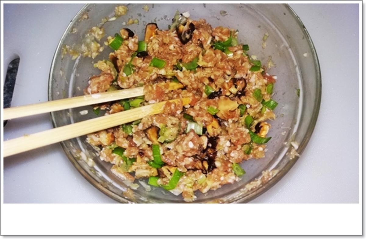 Dim Sum - eine Spezialität aus der kantonesischen Küche Chinas - Rezept - Bild Nr. 4351