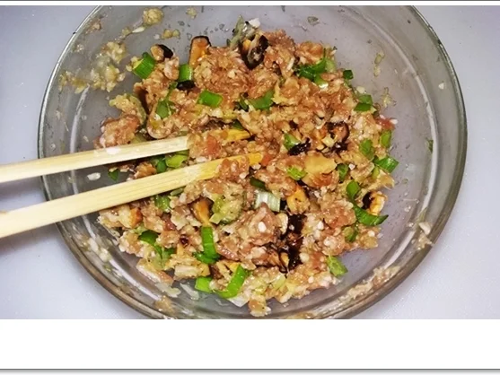 Dim Sum - eine Spezialität aus der kantonesischen Küche Chinas - Rezept - Bild Nr. 4351