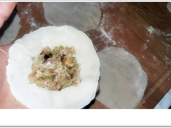 Dim Sum - eine Spezialität aus der kantonesischen Küche Chinas - Rezept - Bild Nr. 4354