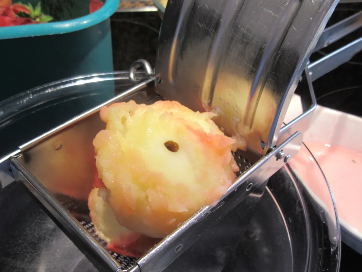 Dessert: Alma Szemét - Apfelschmarrn - Rezept - Bild Nr. 4367