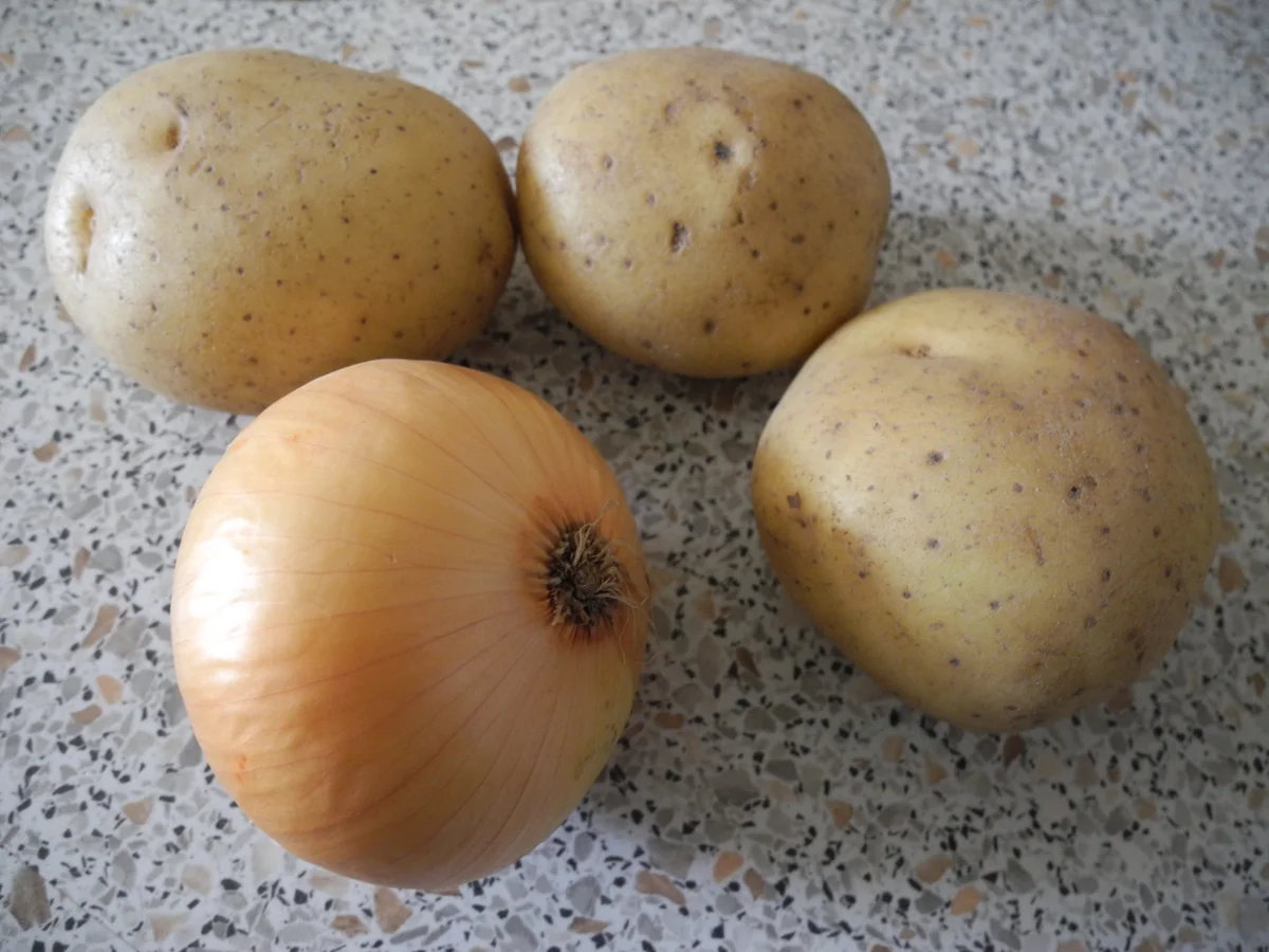 Kartoffel - Sauerkraut - Puffer mit Joghurt - Gurken - Salat - Rezept - Bild Nr. 4412