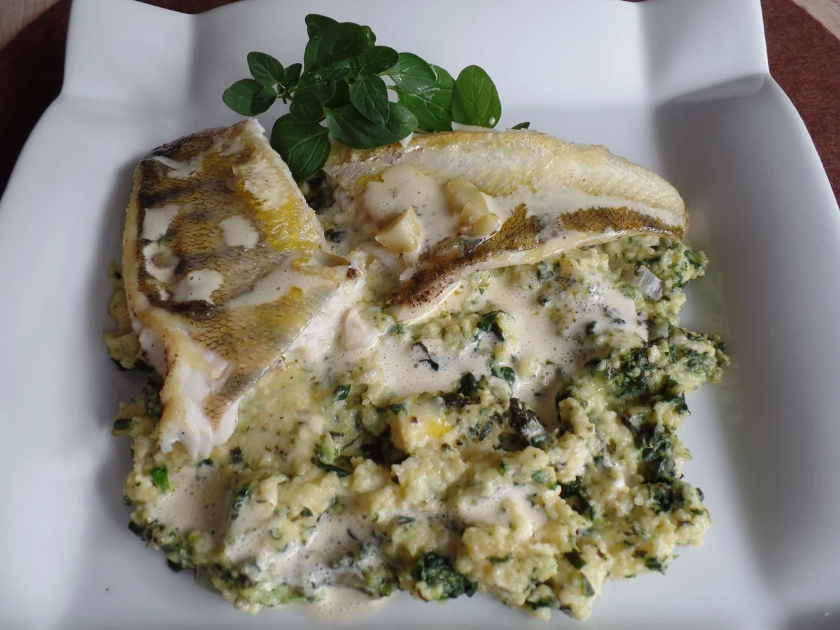 Rezept: Zanderfilet mit Spinatpolenta und Blitzsauce Bild Nr. 4423 Zanderfilet mit Spinatpolenta und Blitzsauce - Rezept - Bild Nr. 4423