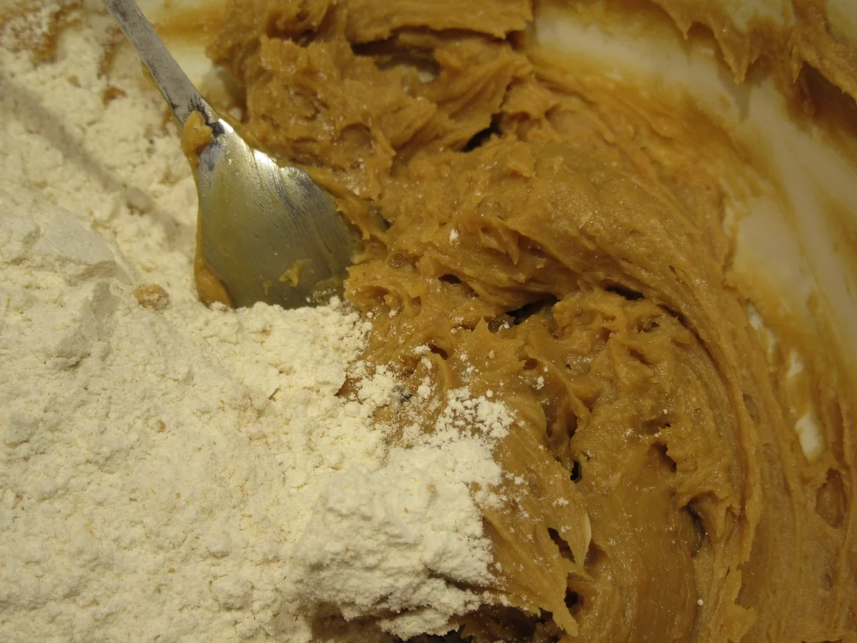 Plätzchen: Ingwertaler - Rezept - Bild Nr. 4444