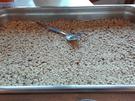 Selbstgemachtes Frühstücks - Müsli das 2. - Rezept - Bild Nr. 4442