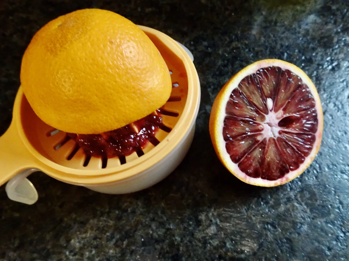 Zanderfilet mit fruchtiger Pfefferbröselkruste - Rezept - Bild Nr. 15356