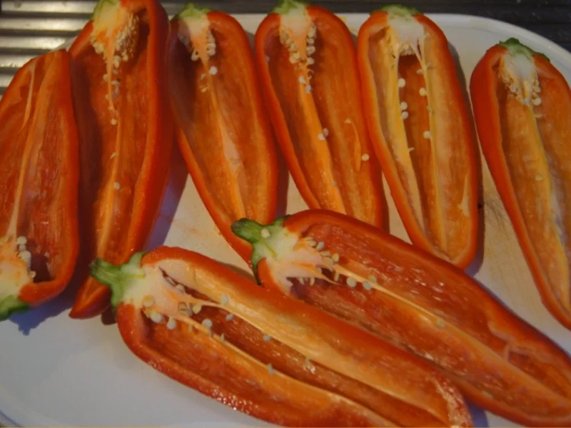 Gefüllte Spitzpaprika auf Waldpilzrahmsauce mit herzhaften Sellerie-Kartoffelstampf - Rezept - Bild Nr. 4470