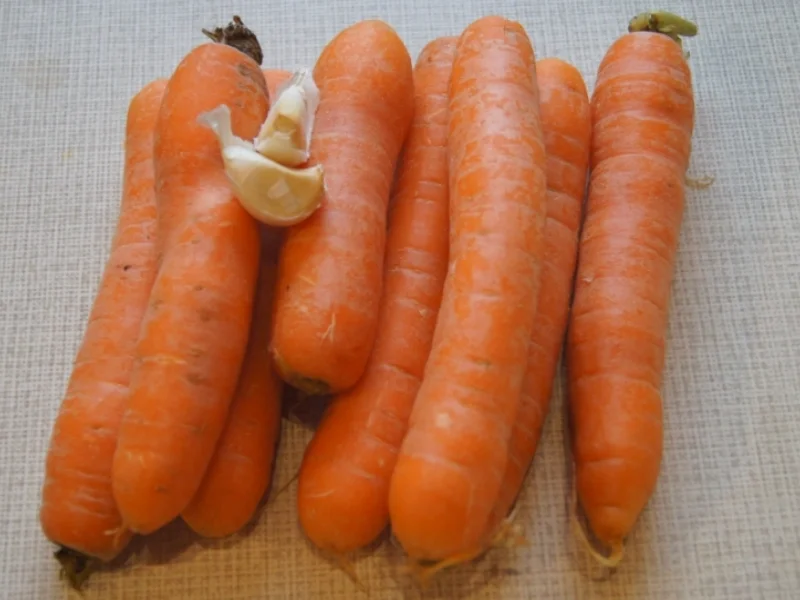 Rezept: Möhrenblüten - Antipasta Bild Nr. 4476 Möhrenblüten - Antipasta - Rezept - Bild Nr. 4476