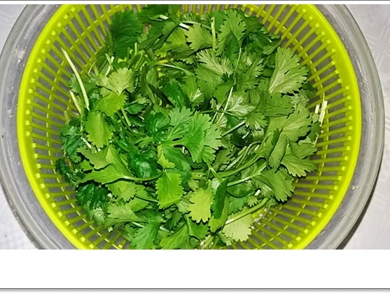 Koriander-Pesto nach Art des Hauses - Rezept - Bild Nr. 4481