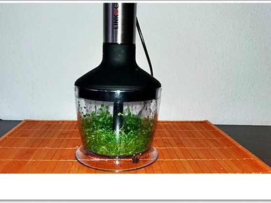 Koriander-Pesto nach Art des Hauses - Rezept - Bild Nr. 4483