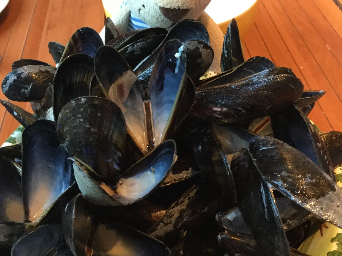 Moules marinieres - Muscheln auf Seemannsart a la Boris - Rezept - Bild Nr. 4502