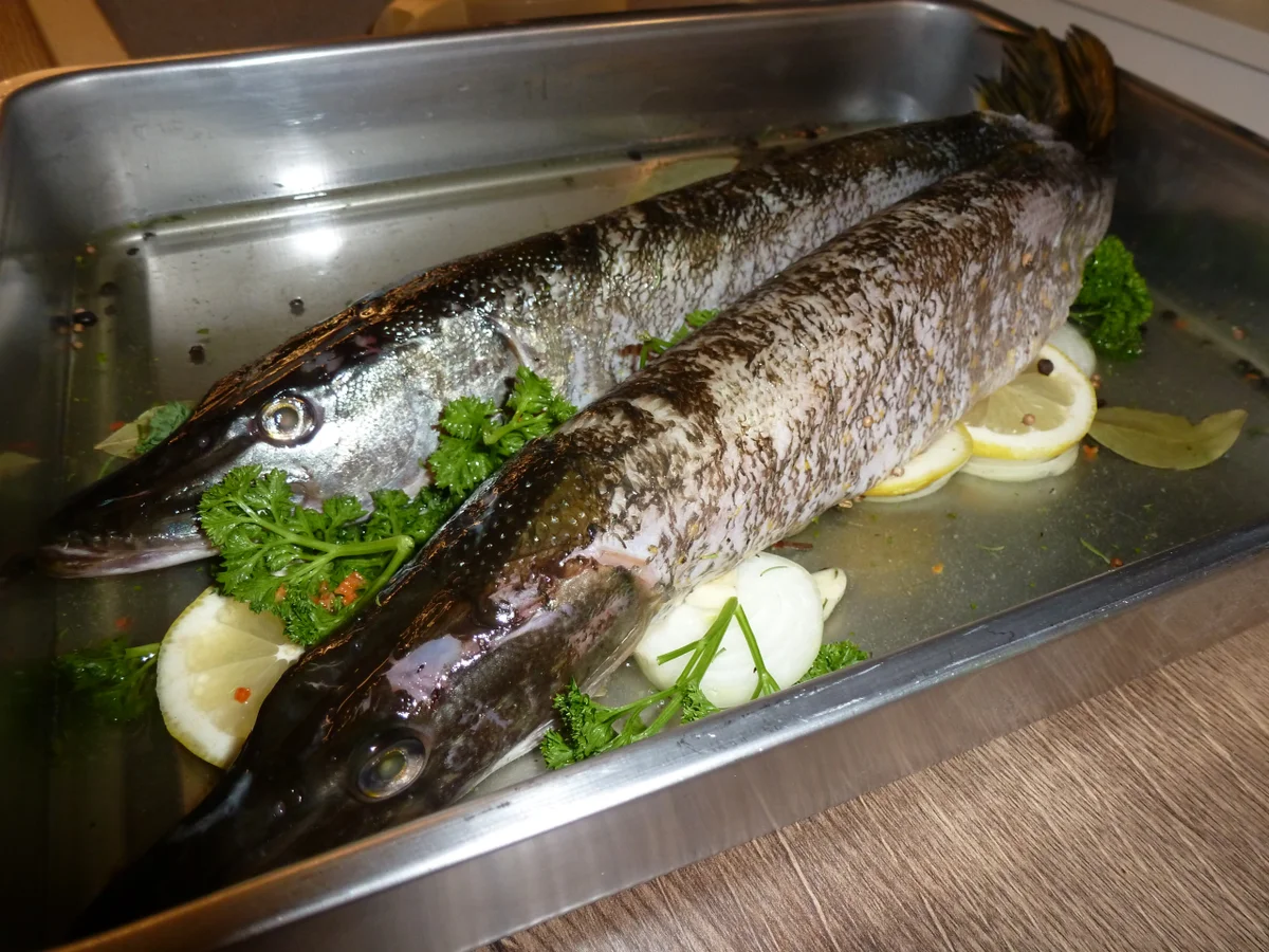 Rezept: Zarter Hecht aus dem Backofen- Elsässische Art Bild Nr. 4514 Zarter Hecht aus dem Backofen- Elsässische Art - Rezept - Bild Nr. 4514