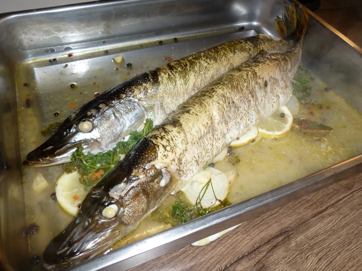 Rezept: Zarter Hecht aus dem Backofen- Elsässische Art Bild Nr. 4515 Zarter Hecht aus dem Backofen- Elsässische Art - Rezept - Bild Nr. 4515