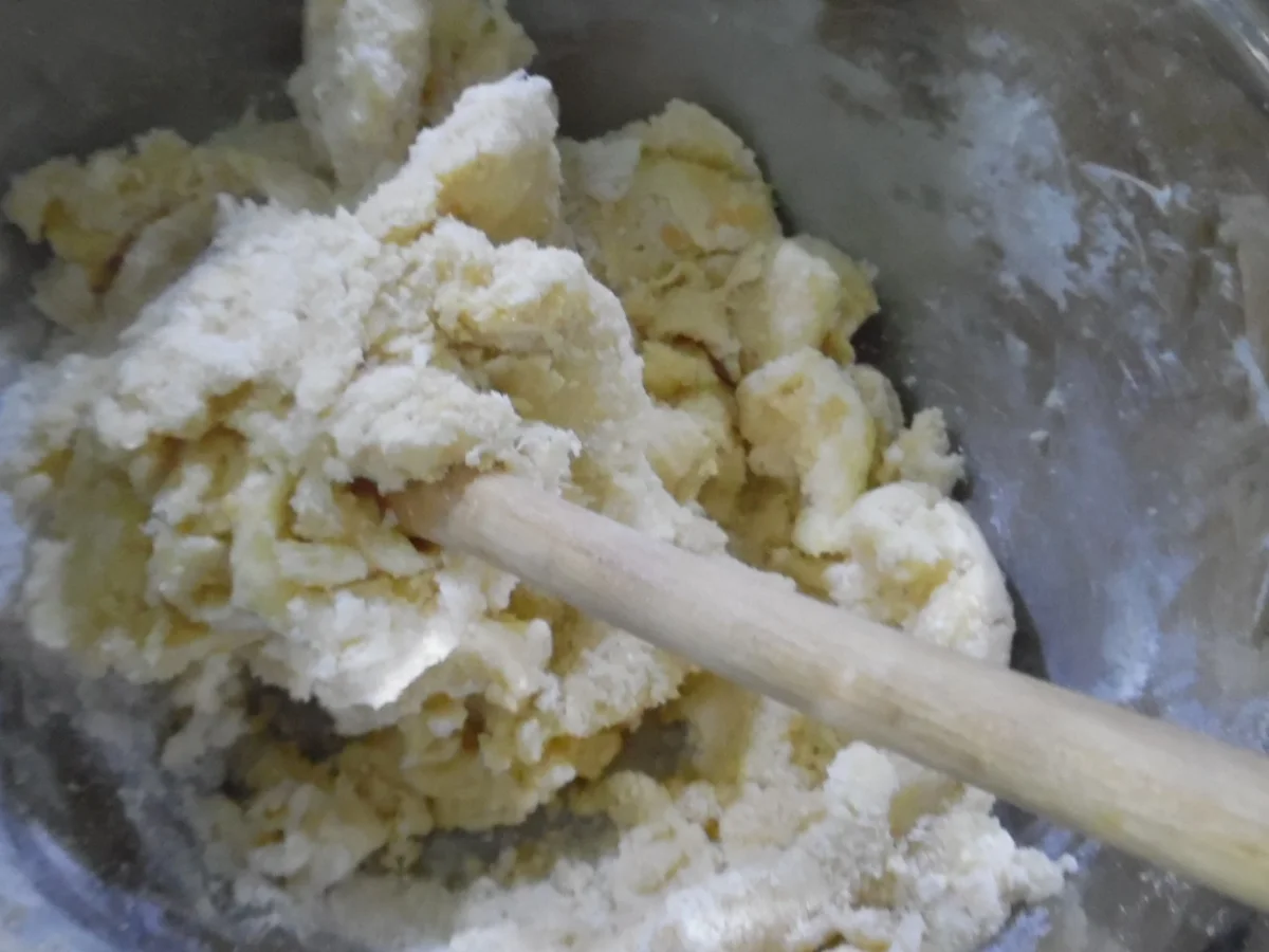 Pfaffen-Hütchen - Rezept - Bild Nr. 4543