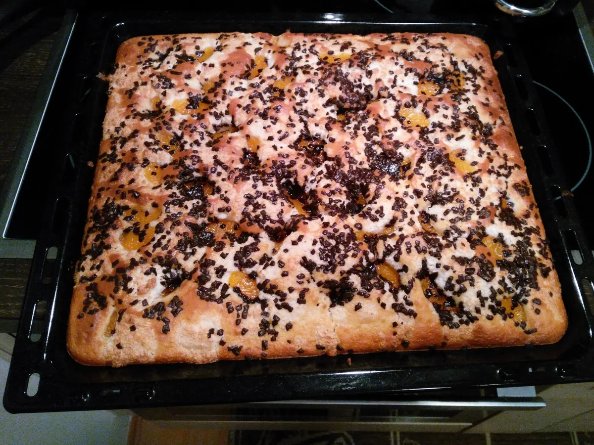 Rezept: Buttermilch-Kokos-Mandarinen-Kuchen Bild Nr. 2 Buttermilch-Kokos-Mandarinen-Kuchen - Rezept - Bild Nr. 2