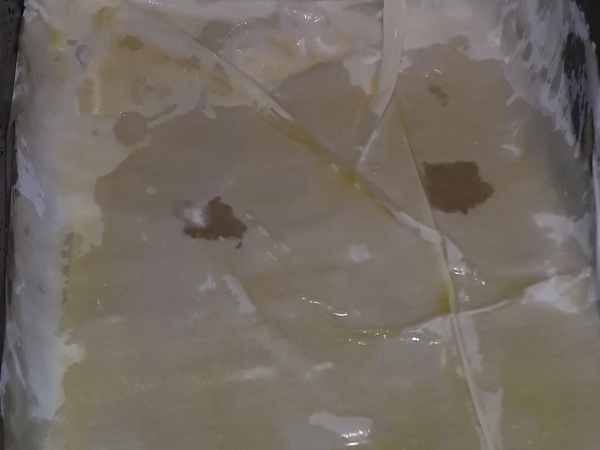 BiNe` S GEMÜSEPAJ - Rezept - Bild Nr. 4555