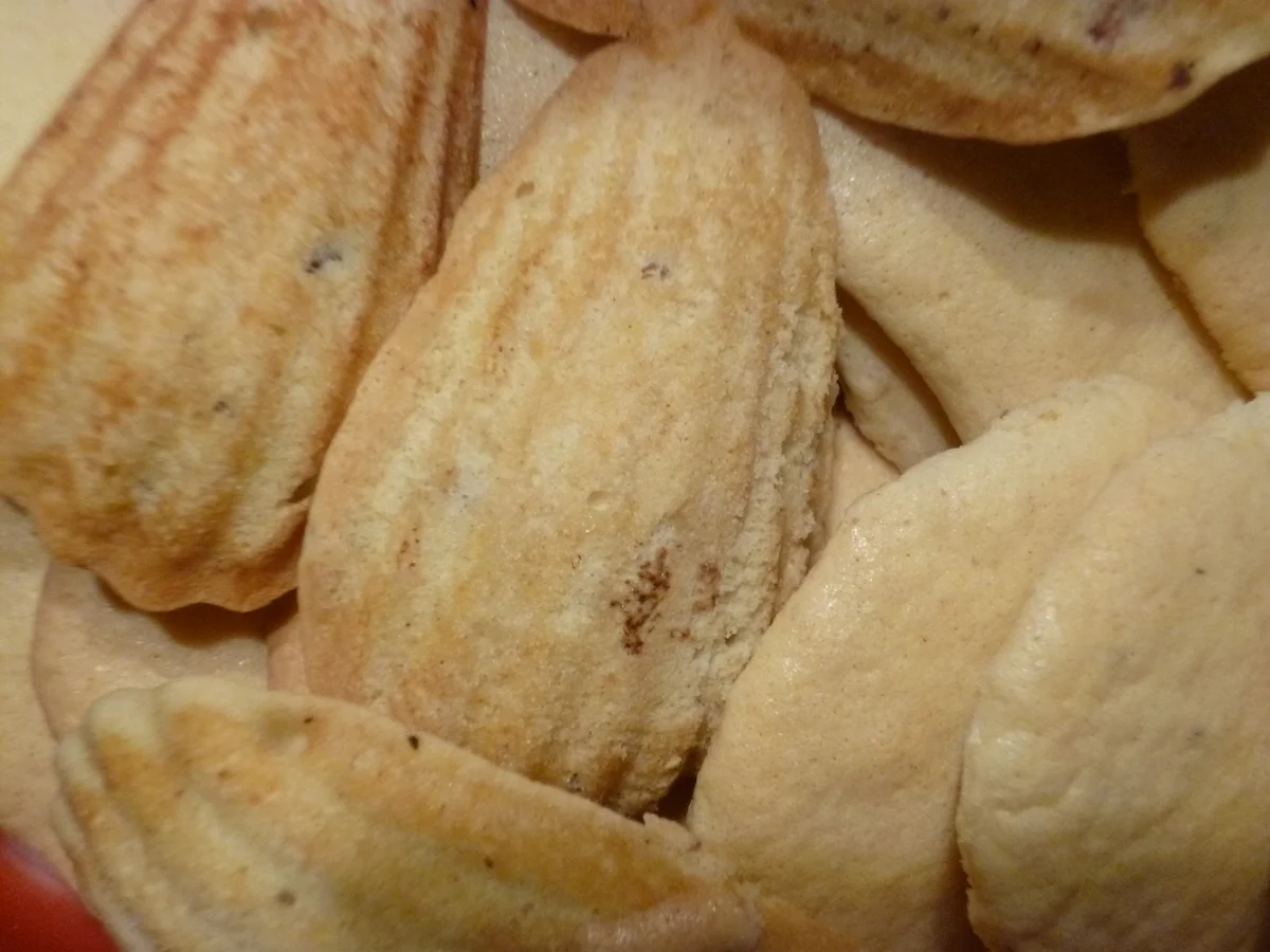 Springerle Gewürzmischung für Anisplätzchen - Rezept - Bild Nr. 4551