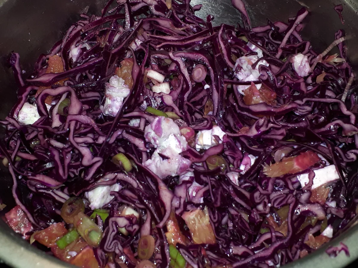 BiNe` S KÜRBIS MIT ZIEGENKÄSE, ROTKRAUT & ORANGE - Rezept - Bild Nr. 4552