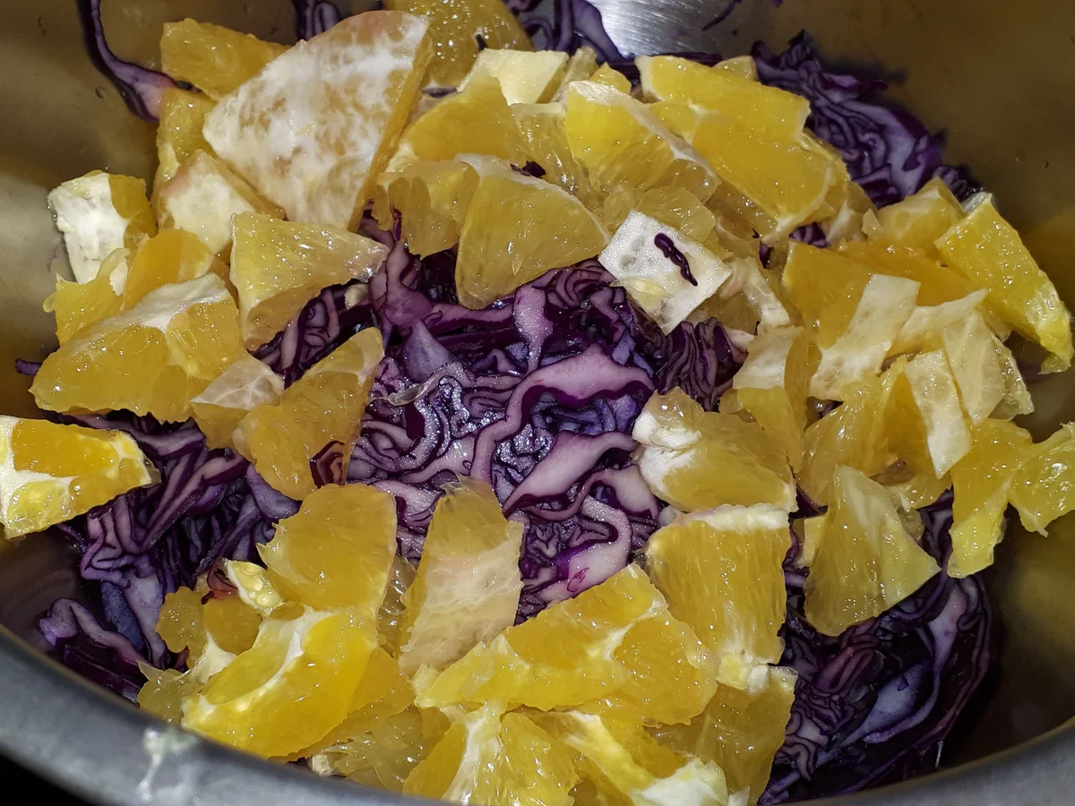 BiNe` S KÜRBIS MIT ZIEGENKÄSE, ROTKRAUT & ORANGE - Rezept - Bild Nr. 4553