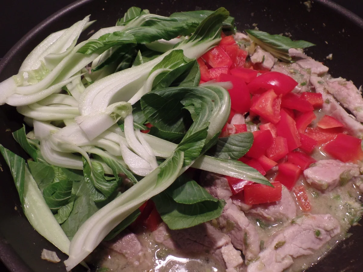 Rezept: Schweinecurry mit Pak Choi Bild Nr. 4560 Schweinecurry mit Pak Choi - Rezept - Bild Nr. 4560