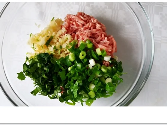 Gedämpfte Dumplings mit Schweinehack Füllung - Rezept - Bild Nr. 4578