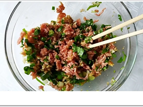 Gedämpfte Dumplings mit Schweinehack Füllung - Rezept - Bild Nr. 4579