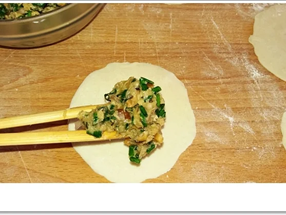 Gedämpfte Dumplings mit Schweinehack Füllung - Rezept - Bild Nr. 4582