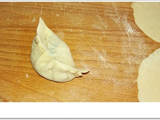 Gedämpfte Dumplings mit Schweinehack Füllung - Rezept - Bild Nr. 4583